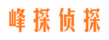 南岸市私家侦探